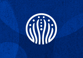 almogdesign